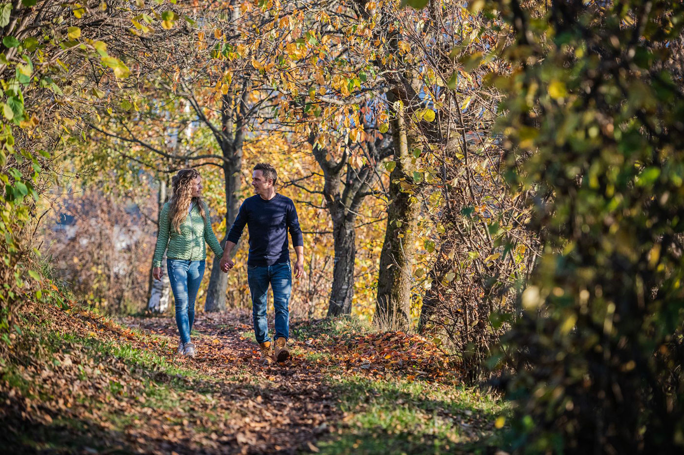 Offerta autunno 3
